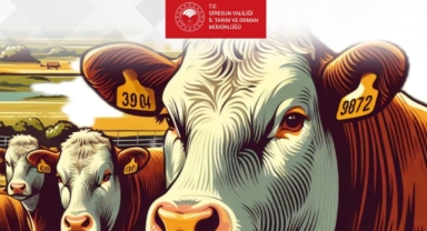 Giresun İl Tarım ve Orman Müdürlüğü Duyurdu: Başvurular Başlıyor!