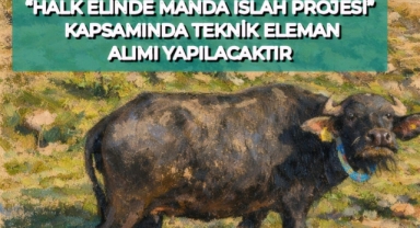 Giresun İl Tarım ve Orman Müdürlüğü Duyurdu: Teknik Personel Alınacak!