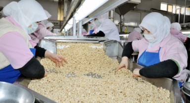 Görele’den Küresel Pazarlara Uzanan Marka