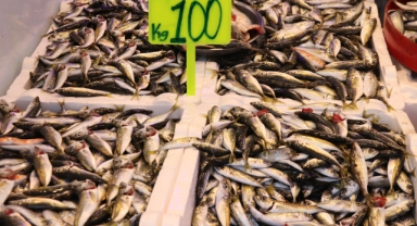 İstavritin kilogramı 100 liradan satılıyor