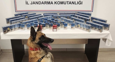 Sahte içki ve kaçakçılık operasyonunda 2 zanlı yakalandı
