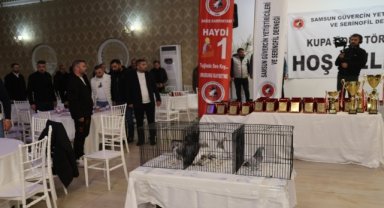Türkiye'deki güvercin severler Samsun'da bir araya geldi