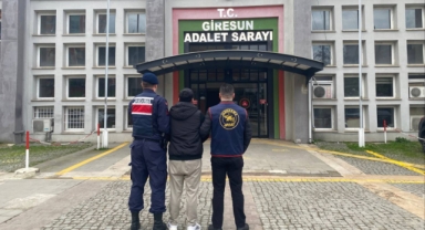 Ağır Cezalı Firari, Keşap'ta Kıskıvrak Yakalandı! 