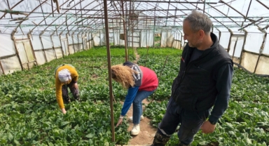 Boztekke’de EKÜY Projesi Kapsamında Çiftçi Ziyareti