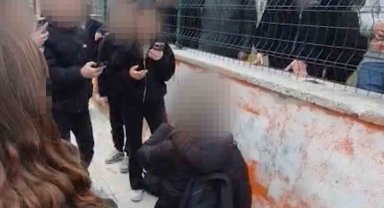 Diz çöktürüp zorla özür dilettiler