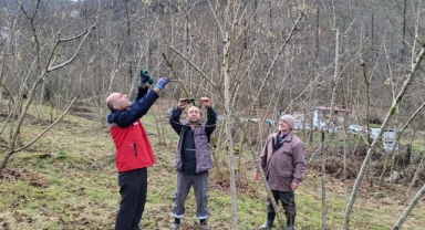 Fındıkta Kalite ve Verim İçin Giresun'da Eğitim Seferberliği