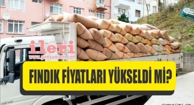 Giresun'da fındık fiyatları bugün ne kadar?