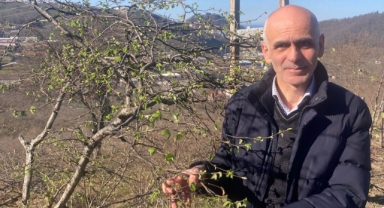 Giresun'da fındık üreticilerine sigorta uyarısı!