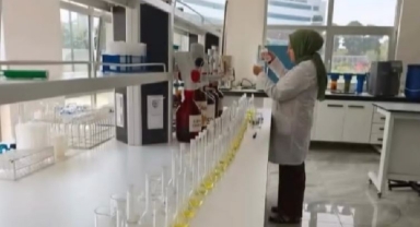 Giresun’da Fındık Üretimine Bilimsel Rehberlik: 1004 Üreticiye Destek