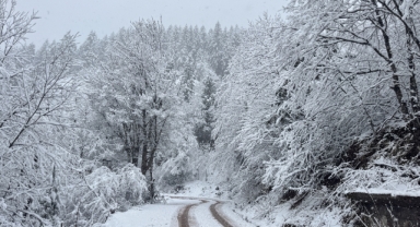Giresun'da kar yağışı etkili oldu 
