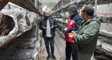 Giresun’da Meyve, Sebze ve Mantar Üreticilerine Hijyen Eğitimi