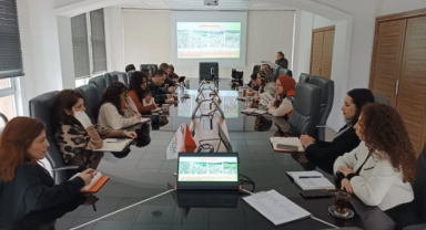 Giresun’da Yoğun Dikim Fındık Bahçeleri İçin Yeni Terbiye Yöntemleri Anlatıldı