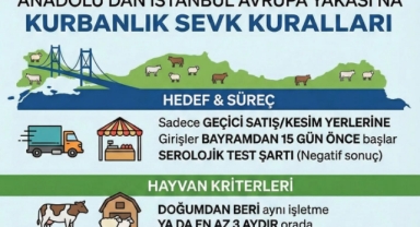 Giresun’dan İstanbul’a Kurbanlık Sevkinde Sıkı Takvim: Başvurular Başladı