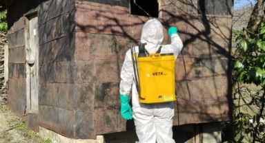 Görele’de Kahverengi Kokarcaya Karşı Kışlak Alanlarda İlaçlama