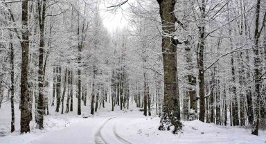 Ordu'nun 15 ilçesinde eğitime kar engeli
