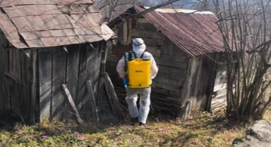 Tarım Ekipleri Sahada: Kokarcayla Güçlü Mücadele