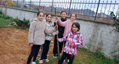 Espiye'de ortaokul öğrencileri fidan dikti