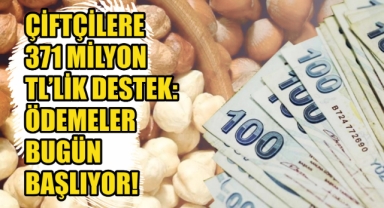 Giresun'da Çiftçilere 371 Milyon TL’lik Destek: Ödemeler Bugün Başlıyor!