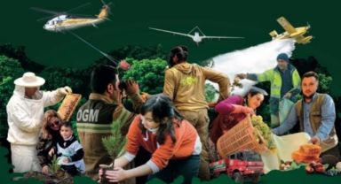 Giresun’da Fidanlar Toprakla Buluşacak