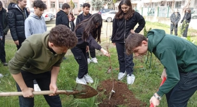 Giresun'da Öğrenciler Meyve Fidanlarını Toprakla Buluşturdu