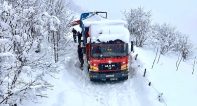 Giresun İl Özel İdaresi Ekipleri Mahsur Kalan Hayvan Yüklü Aracı Kurtardı