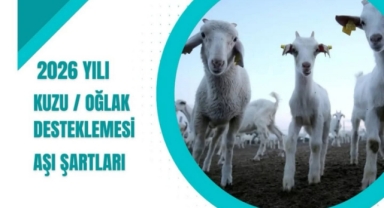 Giresun İl Tarım ve Orman Müdürlüğü’nden Aşı Uyarısı!
