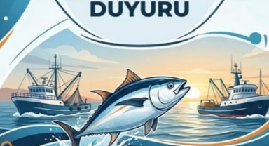 O Avcılığına Yeni Düzenleme!