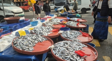 O kentte hamsi 50 TL’ye düştü!