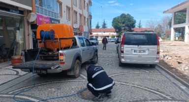Piraziz’de Larva İlaçlama Çalışmaları Başladı