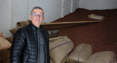Ramazan Bayramı öncesi Giresun'da fındık fiyatları 240 liraya geriledi