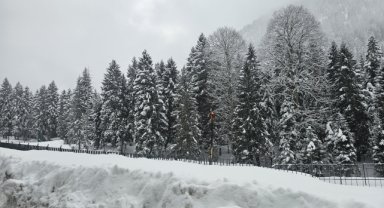 Rize ve Ordu'da kar etkili oldu