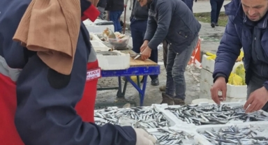 Şebinkarahisar’da Balık Satış Yerlerine Denetim