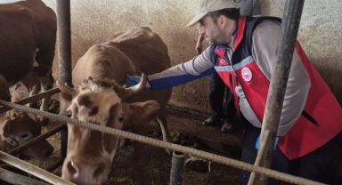 Yağlıdere’de Zorlu Kışa Rağmen Hayvan Aşılama Çalışmaları Sürüyor