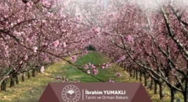 Çiftçilere 19,5 Milyar Liralık Tarımsal Destek Ödemesi Başladı