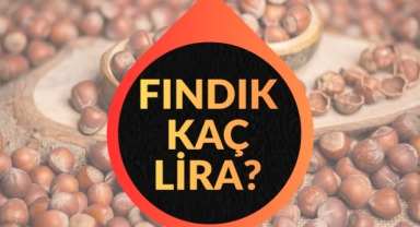 Giresun'da Bugün Fındık Kaç Lira?