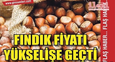 Giresun'da fındık fiyatlarında ibre yukarı döndü!