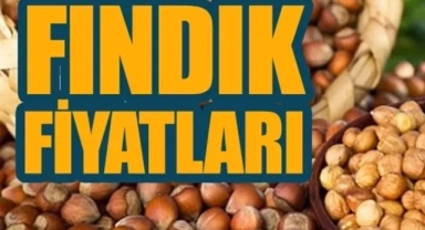 Giresun'da fındık piyasasında son durum… Fındık fiyatları ne kadar?