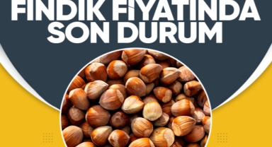 Giresun'da fındık piyasasında son durum… Fındık fiyatları ne kadar?