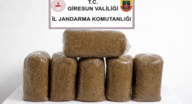 Giresun’da Jandarmadan Uyuşturucu ve Kaçakçılığa Darbe!