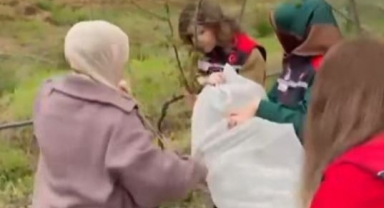 Giresun'da Kahverengi Kokarca Mücadelesinde Biyolojik Yöntemler Güçleniyor!  