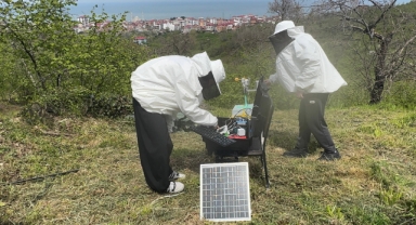 Giresun’da Örnek Proje! Arı Kovanları Artık Yazılımla İzleniyor