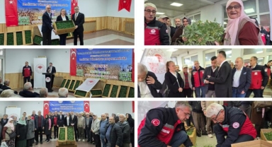 Giresun'da Üreticilere Domates Fidesi Dağıtıldı: TAKEP Projesi Devrede