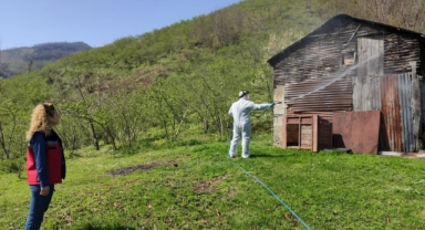 Giresun'da Üreticiyi Tehdit Eden Zararlıya Karşı Etkin Mücadele