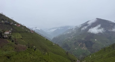 GİRESUN DOĞASINA SAHİP ÇIKIYOR!
