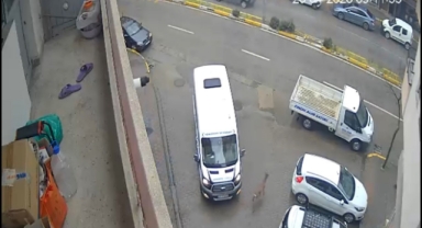 Görele’de Şehir Merkezine İnen Karaca Araçlara Çarptı: O Anlar Kamerada