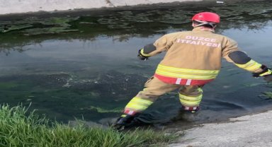 İtfaiye ekipleri kanaldan çıkardıkları 2 kedi yavrusunu kalp masajıyla kurtardı