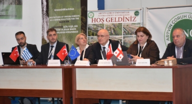Karadeniz'in bakir ormanları uluslararası projeyle tespit edilecek