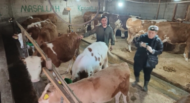 Keşap'ta mobil veteriner ekipleri sahada