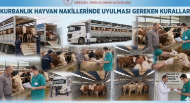 Kurbanlık Sevkiyatında Sıkı Denetim Dönemi: Kurallara Uymayana Ağır Ceza!