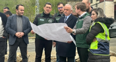 Milletvekili Temür: 